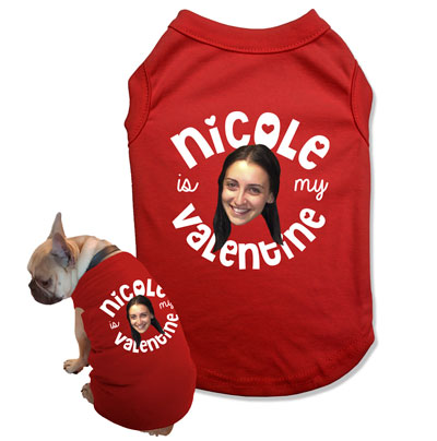 custom matching dog and owner shirts