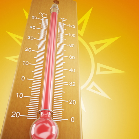 Summertime Fine Blog Series - Heat and Humidity