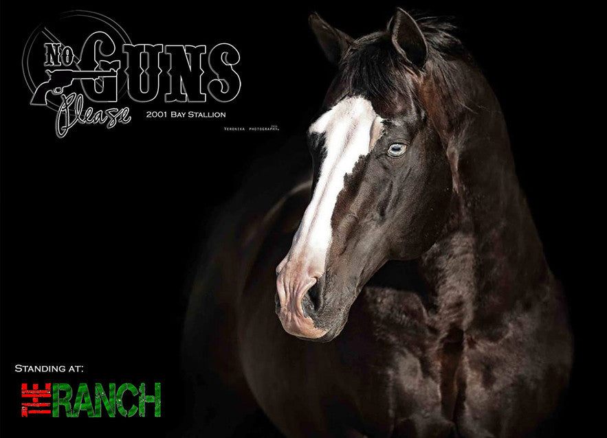 The Ranch Equine Store