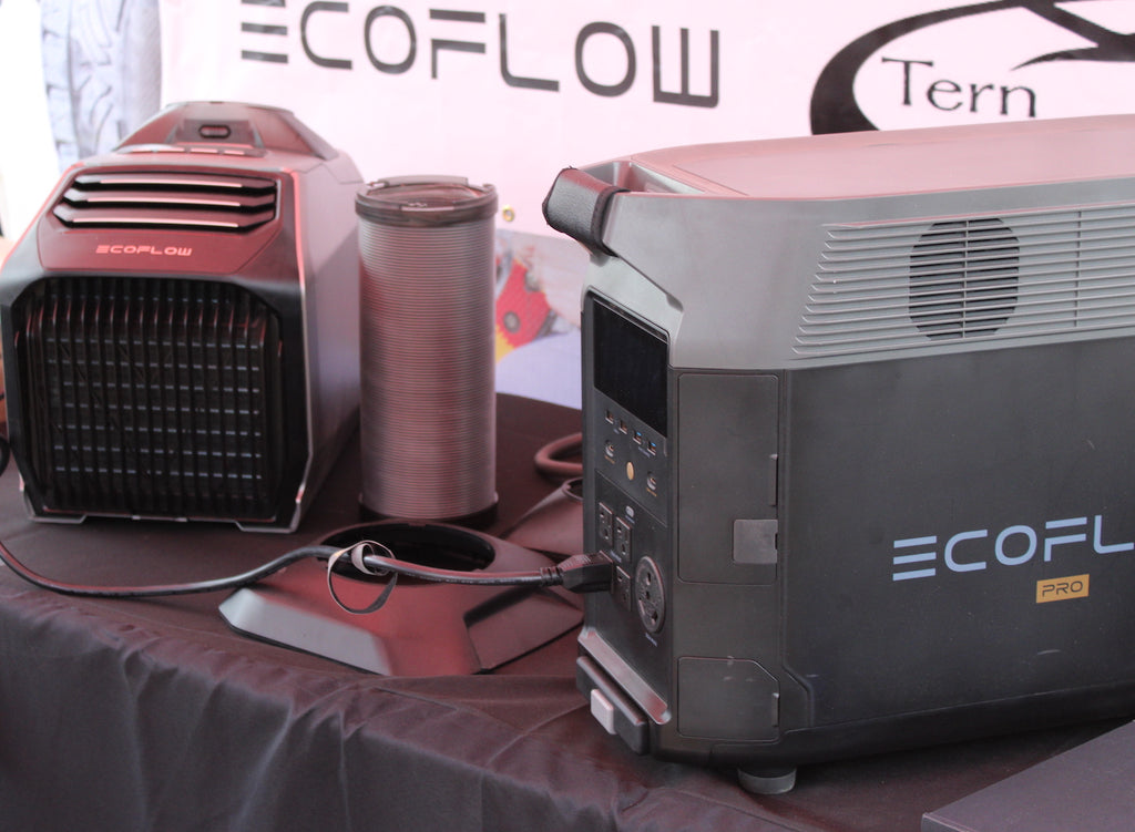 EcoFlow Wave 2 and Delta Pro