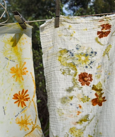 natural plant dyes