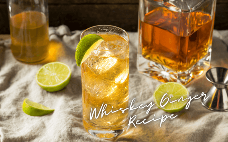 Whiskey Ginger Recipe Advanced Mixology 