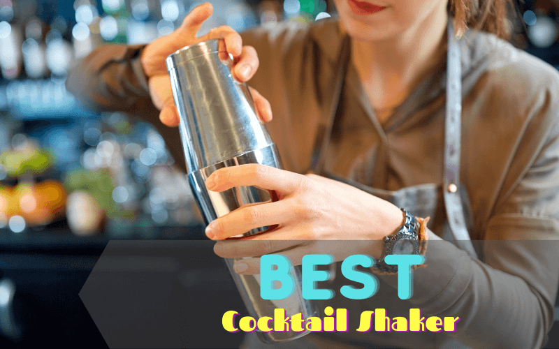 Best Cocktail Shaker Sets