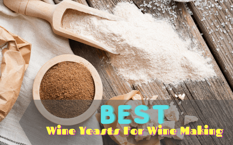 Best Wine Yeasts For Wine Making In 2021