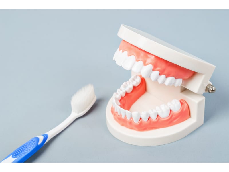 Dentures with a blue and white toothbrush