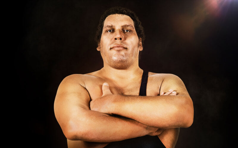 Andre the Giant posing 
