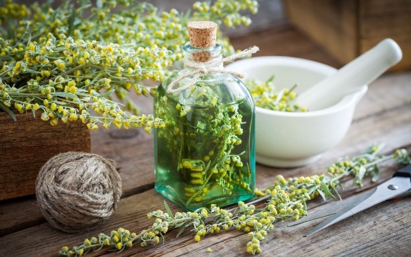 A bottle of absinthe with herbs inside