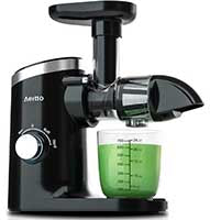 Aeitto Slow Masticating Juicer