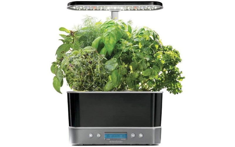 AeroGarden Harvest 360 Indoor Hydroponic Garden