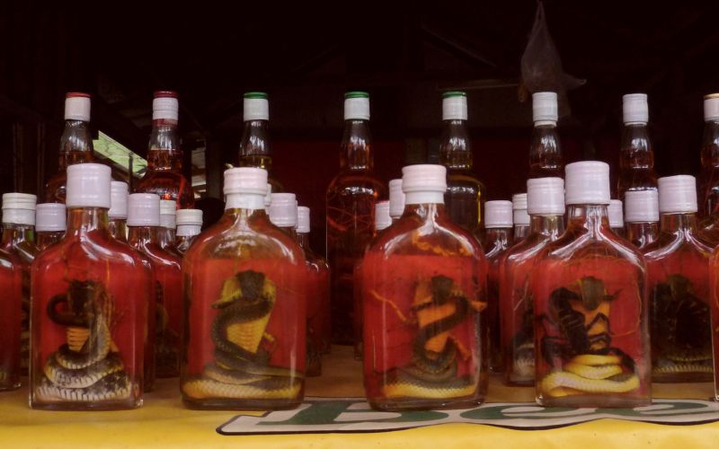 Liquor bottles with snake wine