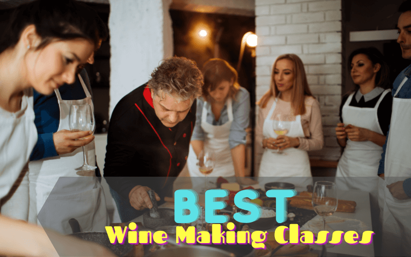 Best Wine Making Classes To Help You Become A Winemaker