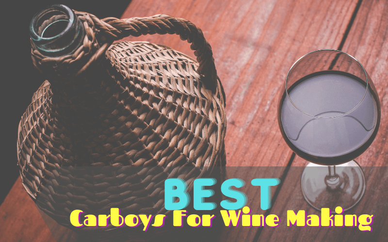 Best Carboys For Wine Making In 2021