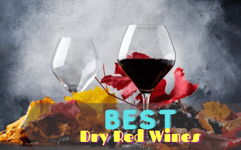 Dry red wines in a wine glass with grapes and leaves in the background