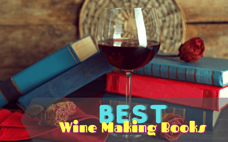 Best Wine Making Books For Beginners This 2021