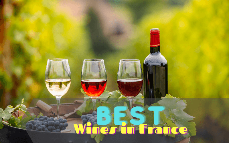 Best Wines in France