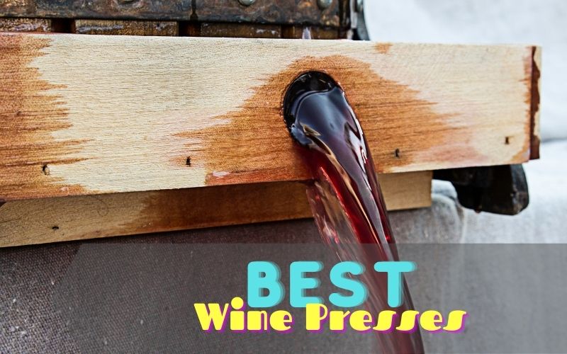 Best wine presses