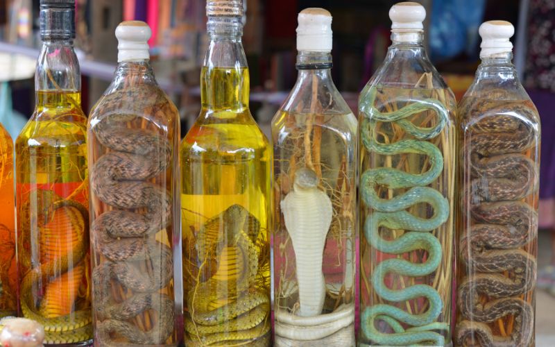 Bottles of different snake liquor
