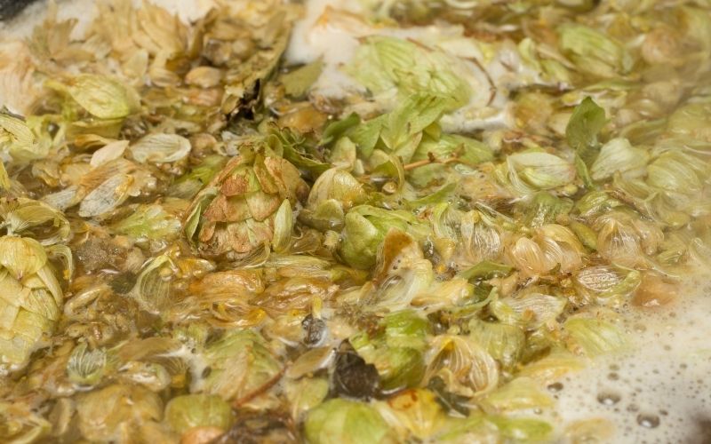 Close up of petals and hop on the surface of the beer