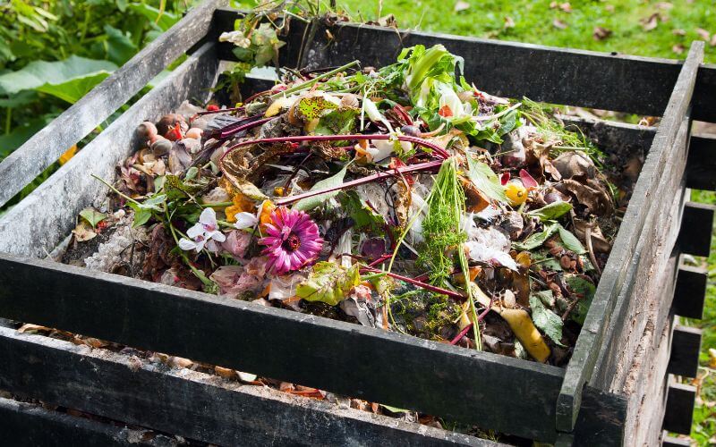 Compost bin in the garden