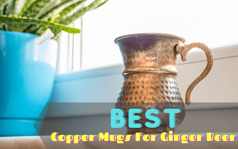 Best Copper Mugs For Ginger Beer To Buy In 2021