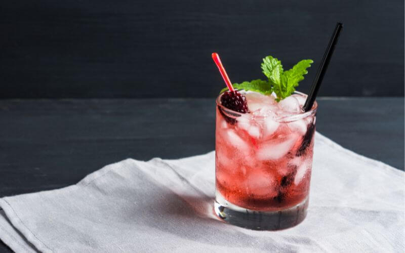 Blackberry Kombucha Vodka Smash