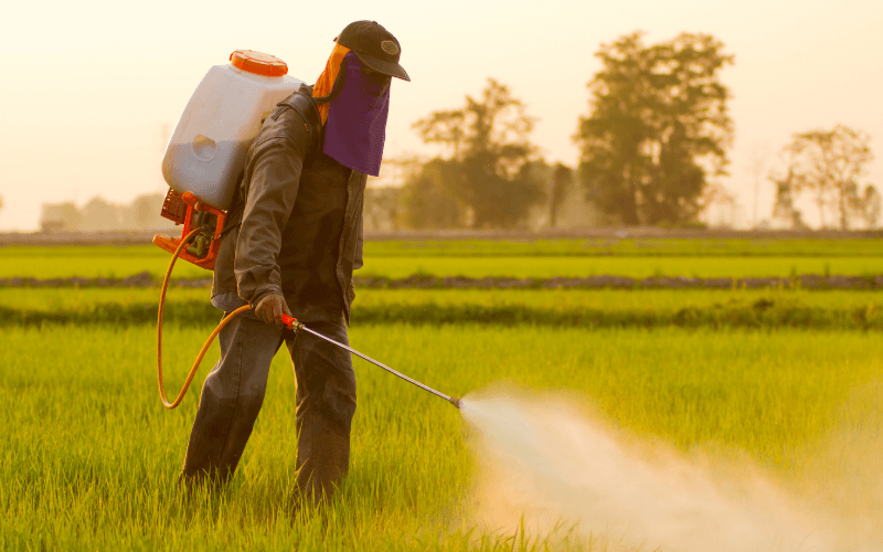 Farmer spraying pesticide