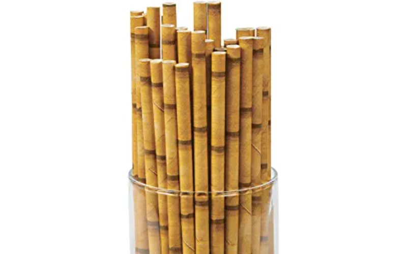 Fun Express Bamboo Paper Straws