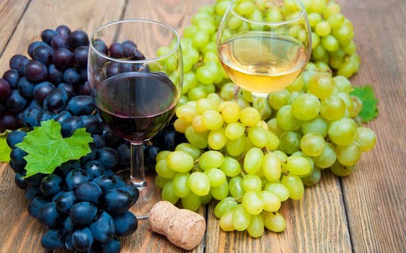 grapes and Italian wine