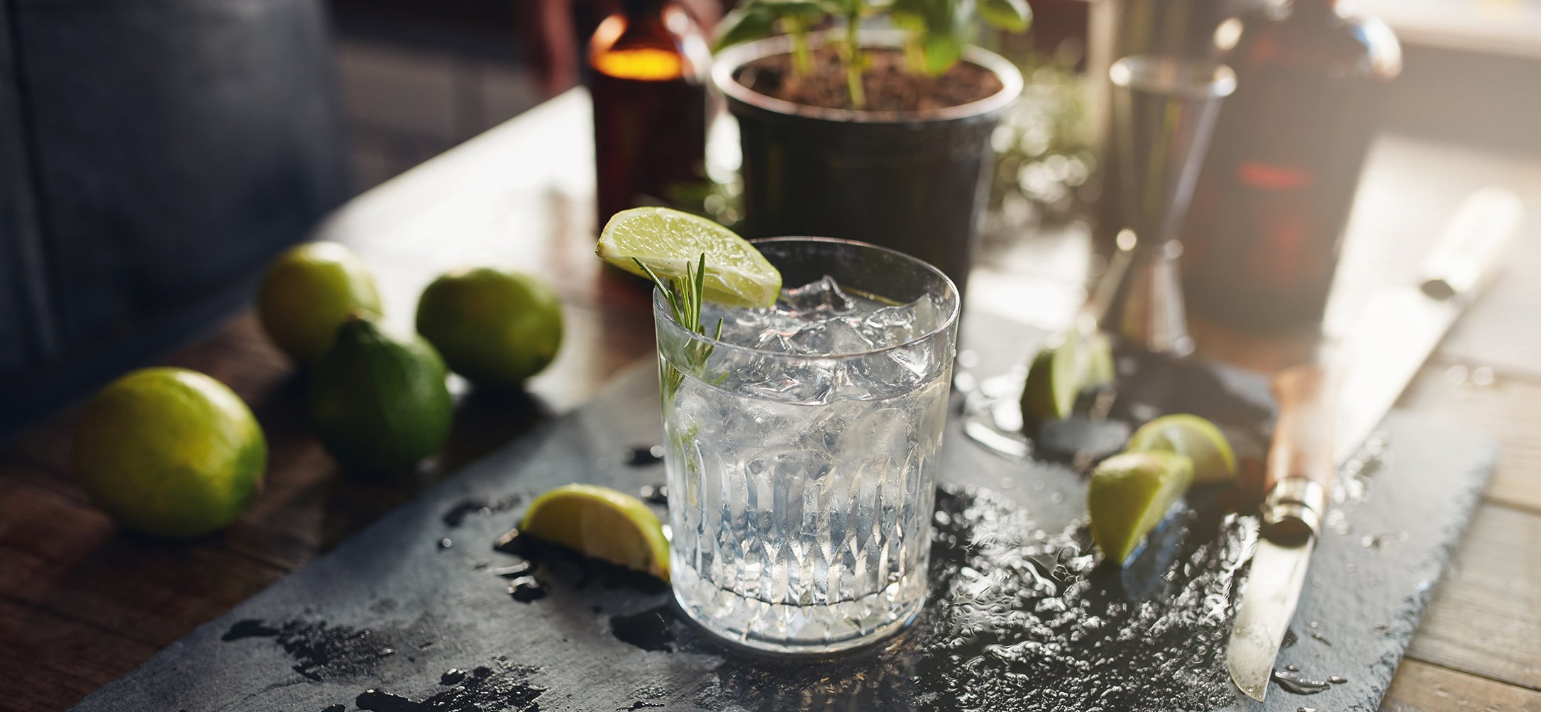 Historia del gin tonic