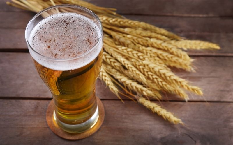 Glass of Beer and Wheat