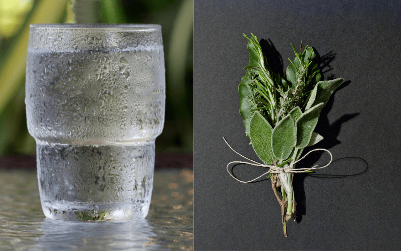  Glass of water and herbs