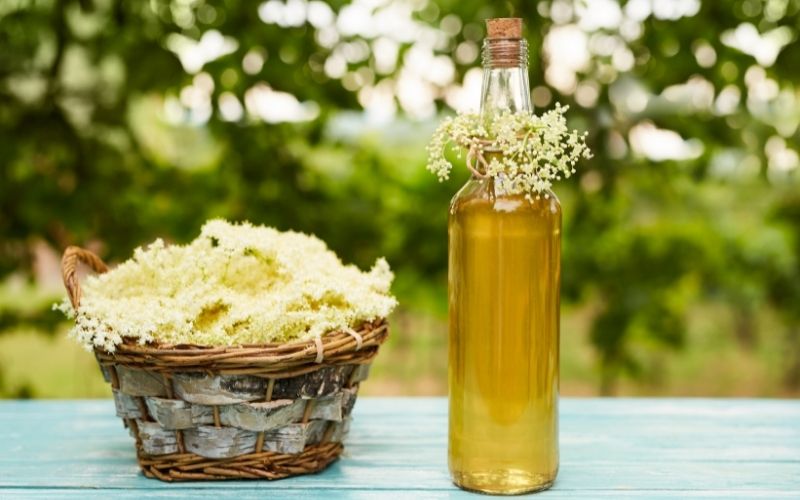 Homemade Elderflower Syrup in a Bottle