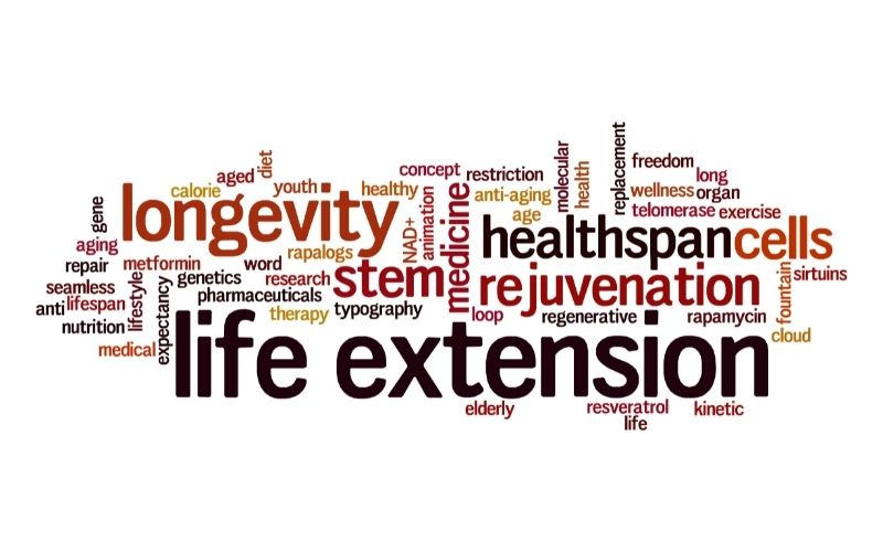  Life Extension Word Cloud Typography