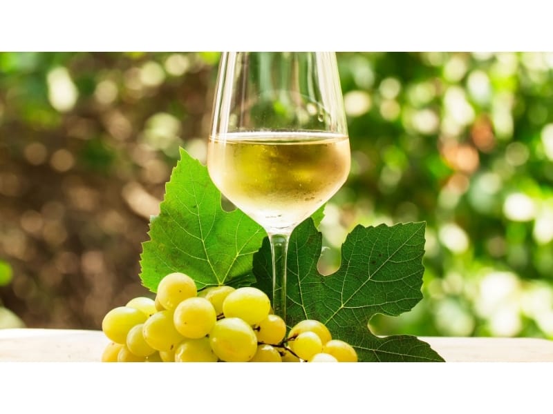 A glass of light white wine with chardonnay grapes