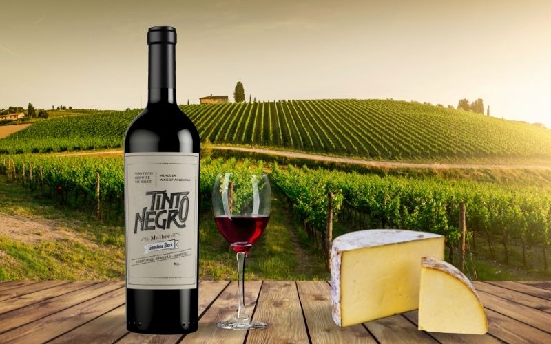 TintoNegro Limestone Block Malbec 2017 and Aged or Vintage Cheese