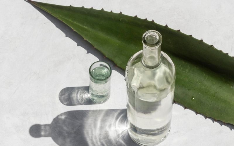 Bottle of mezcal with agave plant