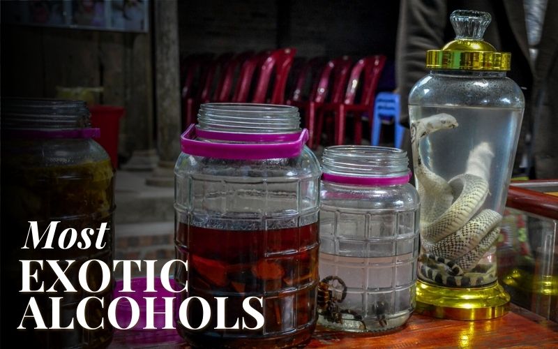 Most Exotic Alcoholic Drinks Worldwide