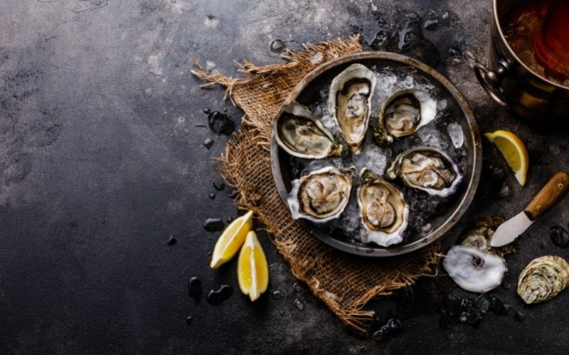 Oysters on ice