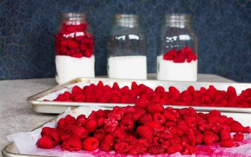 Raspberries in trays and mason jars