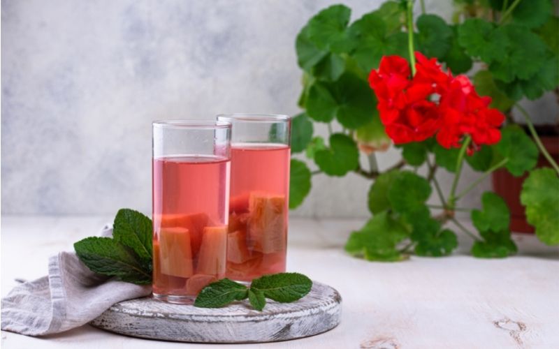 Rhubarb Infused Drink in glasses on a circular board