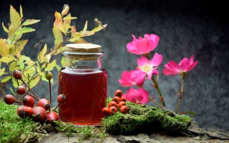 Rosehip cordial in a jar surrounded with rosehips and flowers