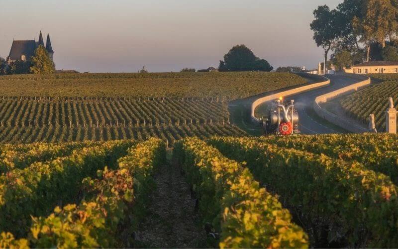 Route des Chateaux, Vineyard in Medoc, famous wine estate of Bordeaux wine, France