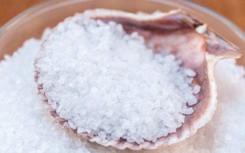 Gourmet sea salt in shell