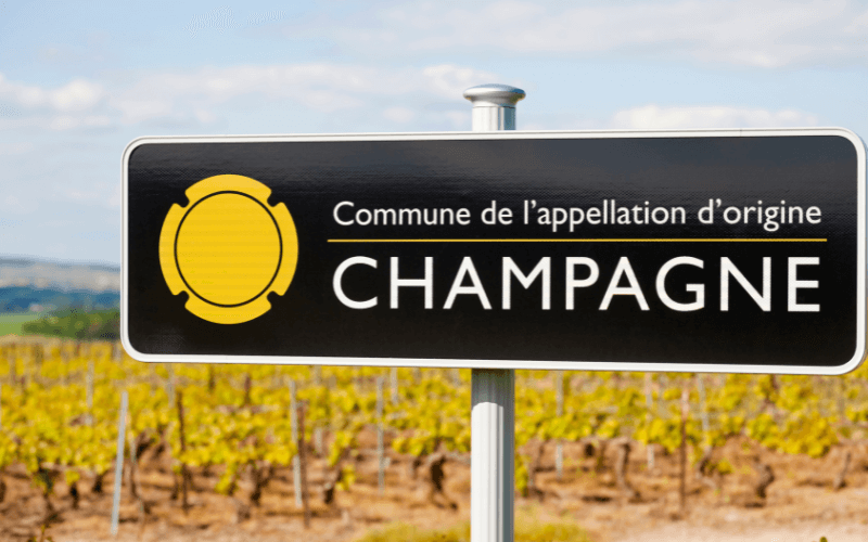 Champagne signage in front of a vineyard