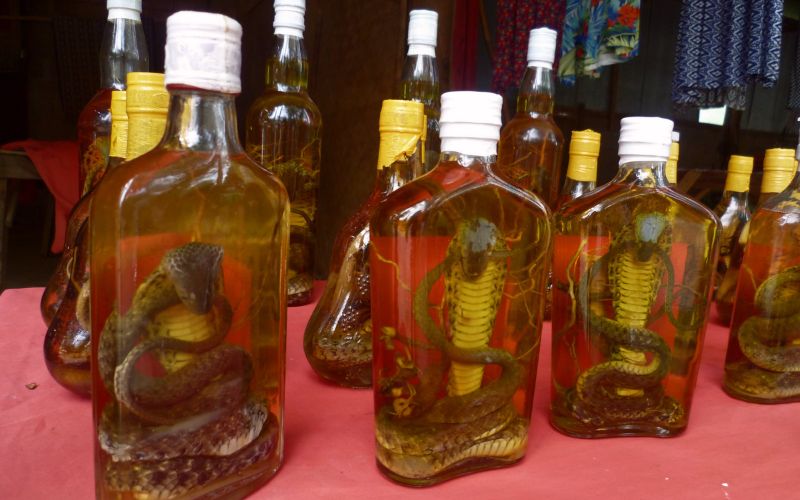 Snake wine from Golden triangle in Thailand