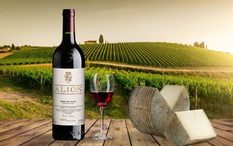 Bodegas y Vinedos Alion 2014 and Manchego