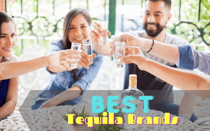 group of people holding a glass of tequila