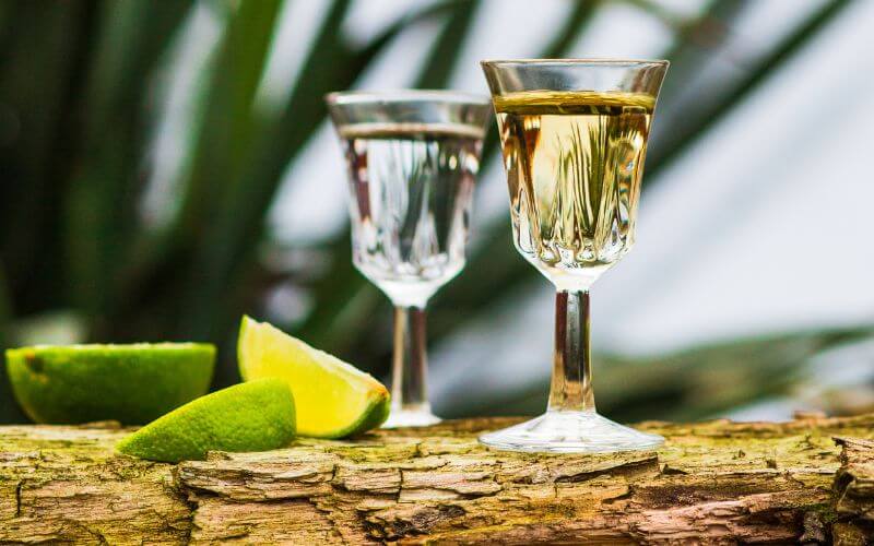 How Long Does Tequila Last? | Making The Most Out Of Your Liquor – Advanced Mixology