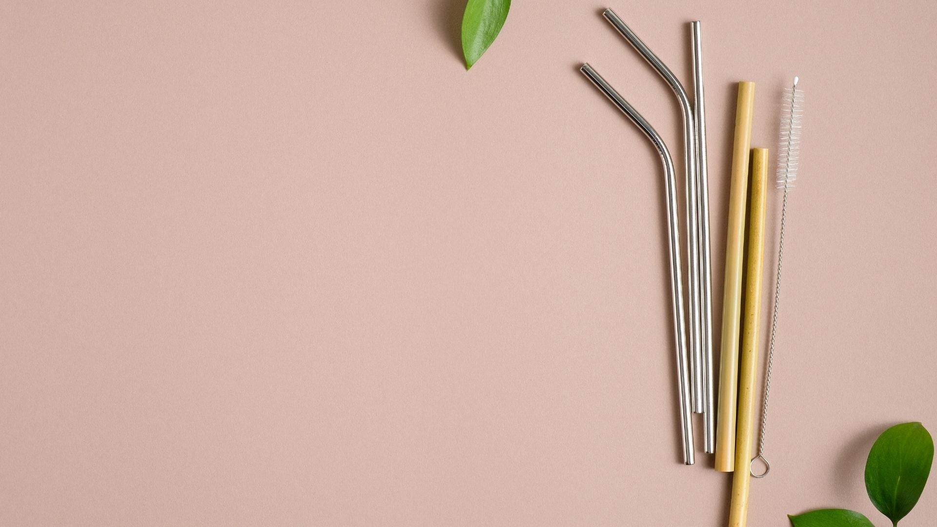 Metal and Bamboo Straw