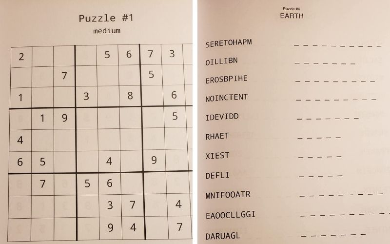 Variety Puzzle Book For Adults